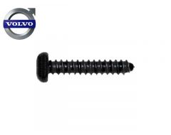 Parker torx Volvo 4,8 x 32MM universeel Volvo 986119