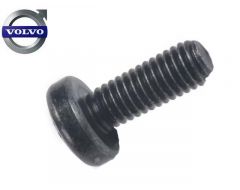 Schroef / Boutkop Binnen-torx M6 bagagerek/hondenrek Volvo 855 V70 XC70 -00 Volvo 986214